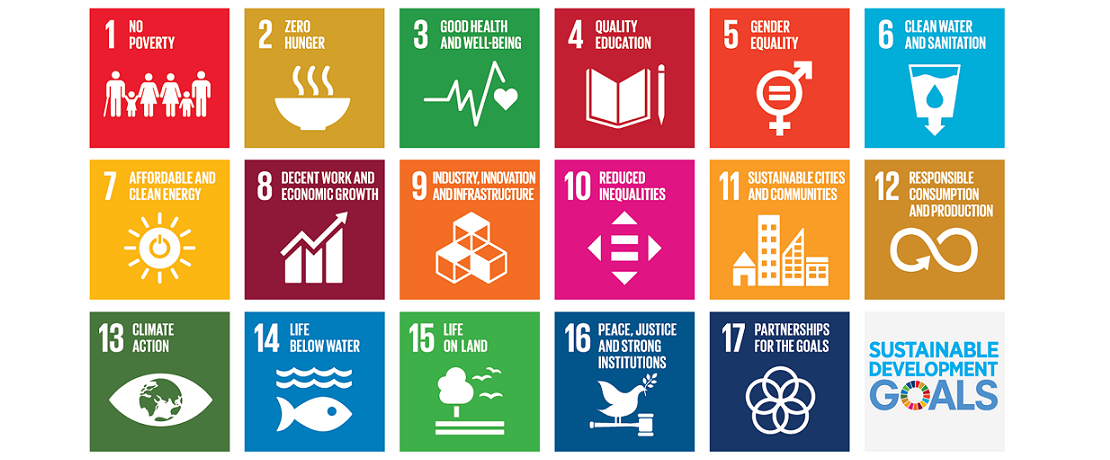 Overview of the Sustainable Development Goals SDG UN
