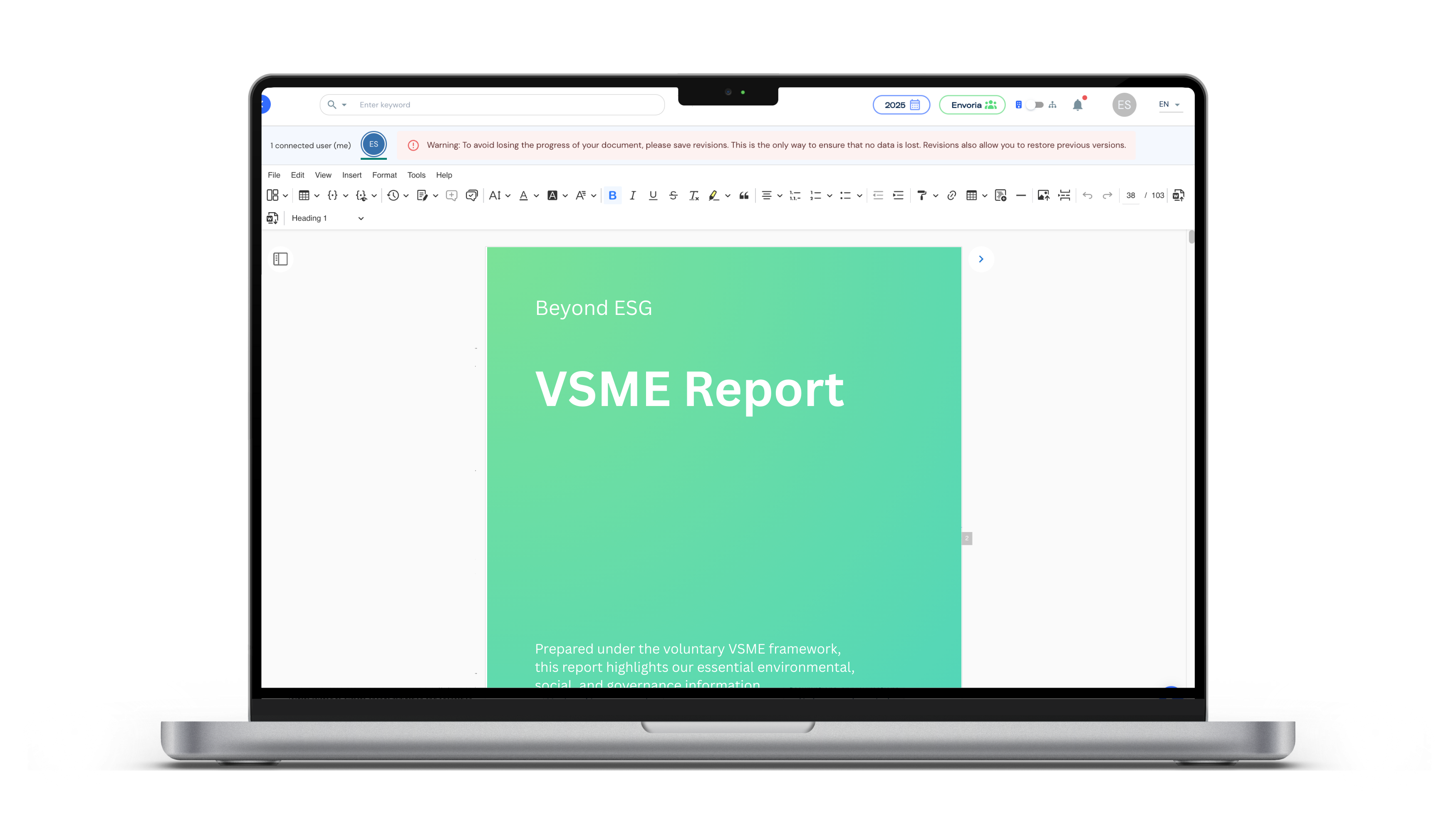 Envoria VSME Report