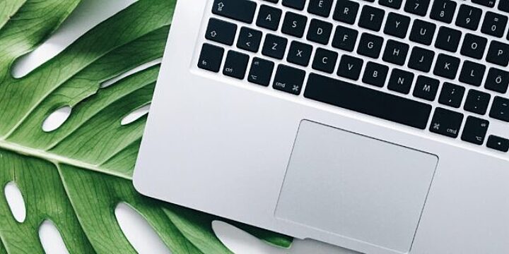 Article Envoria launches Newsletter