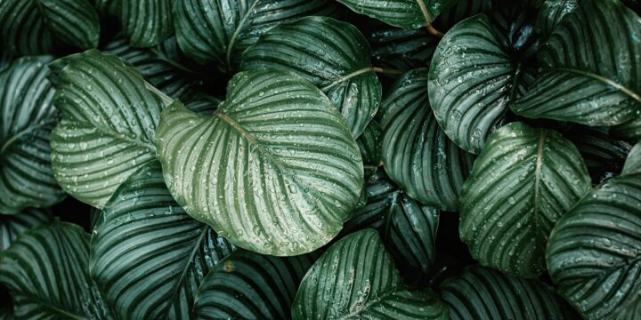 Article How climate friendly is Envoria