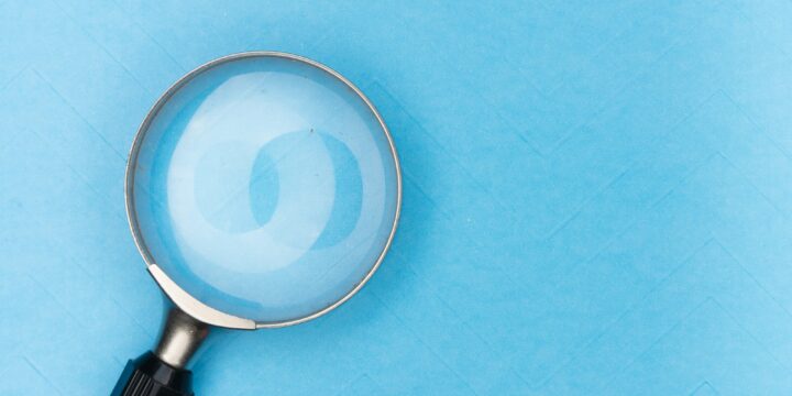 Article How transparency prevents greenwashing