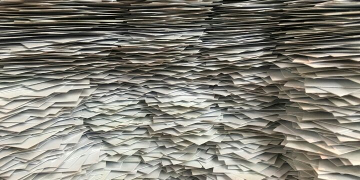 Article The impact of unstandardized data