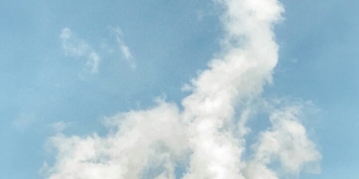 Article What is a ton of CO2