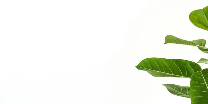 Article 7 steps to your EU Taxonomy climate risk assessment