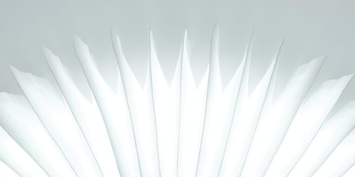 Daniele levis pelusi Aqg H Zaj V IU unsplash
