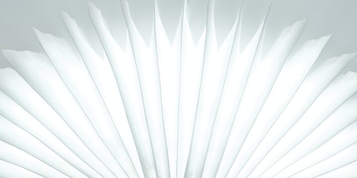 Daniele levis pelusi Aqg H Zaj V IU unsplash