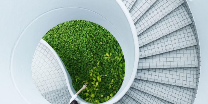 Danist soh n 3 Pn7 Ybe s unsplash 1